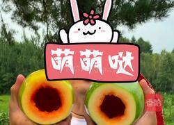 牛奶木瓜的做法图解2