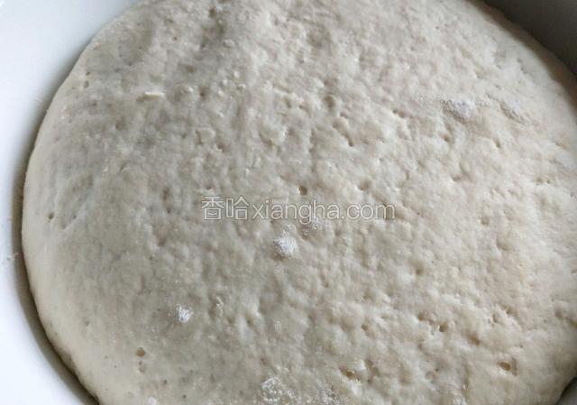 面粉加酵母粉、白糖，温水和面，面团软一点，醒发30-40分钟。