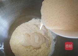 酥粒奶香包（波兰种）的做法图解2