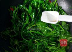 素炒木耳菜的做法图解6