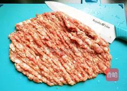茄汁鲜肉馄饨的做法图解2