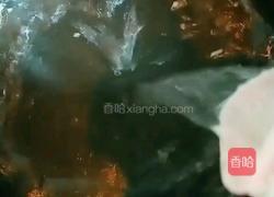 冬瓜白粥的做法图解5