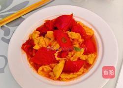 西红柿鸡蛋的做法图解9