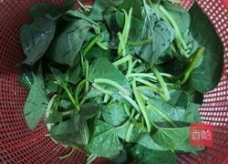 蒜香红薯叶的做法图解2