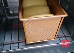 牛奶吐司的做法图解8