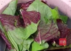 粉色凉凉的做法图解1