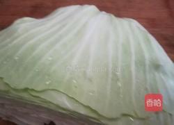 火腿莲白的做法图解1