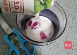 火龙果奶昔的做法图解6