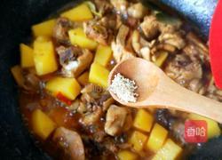 土豆烧鸡块的做法图解17