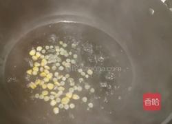 懒人减脂鸡胸肉披萨的做法图解10