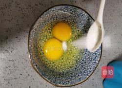 懒人减脂鸡胸肉披萨的做法图解11