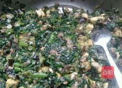 菜苗肉馅包子的做法图解3