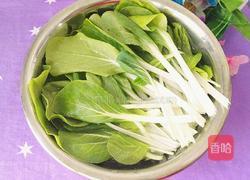 清炒黑叶白的做法图解2