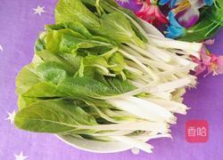 清炒黑叶白的做法图解4