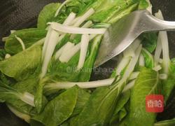 清炒黑叶白的做法图解9