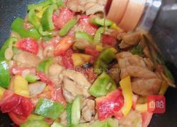彩椒鸡丁炒酿皮(10分钟快手菜)的做法图解11
