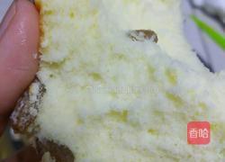 葡萄干蛋糕(6寸)的做法图解18