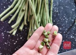 凉拌豇豆的做法图解2