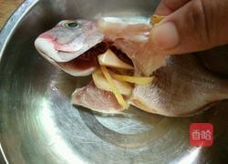 清蒸棘鲷鱼的做法图解3