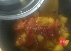 番茄炖土豆的做法图解7