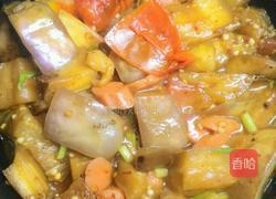 番茄炖茄子的做法图解14