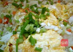胡萝卜白菜蛋炒饭的做法图解9