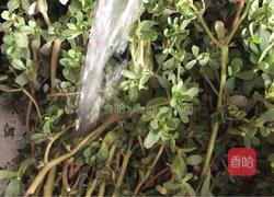 枸杞马齿苋的做法图解1