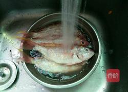 清蒸红衫鱼的做法图解3