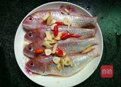 清蒸红衫鱼的做法图解7