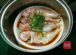 清蒸红衫鱼的做法图解12