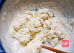 自制手抓饼的做法图解2