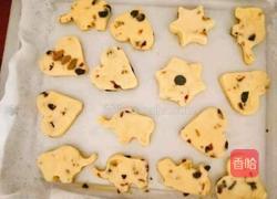 蔓越莓饼干的做法图解6
