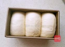 奶香吐司的做法图解10