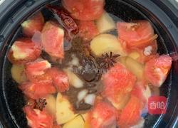 番茄土豆炖牛腩的做法图解6
