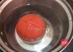 茄汁西葫芦的做法图解2