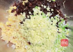 东北酸菜猪肉饺子(懒人快手版)的做法图解3