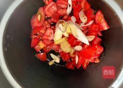 家常番茄炖牛肉的做法图解5