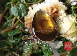 凉拌马齿苋的做法图解8