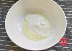 最健康的小零食酸奶牛乳糖的做法图解3