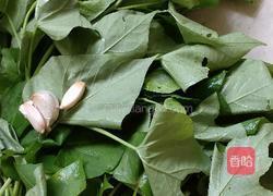 炒番薯叶的做法图解1