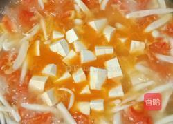 番茄白玉菇炖豆腐的做法图解10