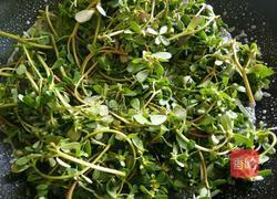 鸭红马齿苋的做法图解8