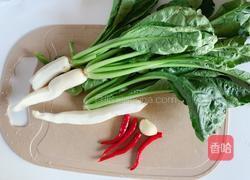 小炒萝卜苗的做法图解1