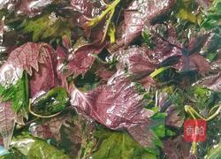 紫苏丝瓜炒鸡蛋的做法图解1