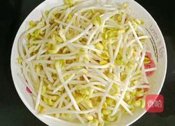 凉拌豆芽的做法图解8
