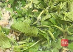 虾皮萝卜苗羹的做法图解7