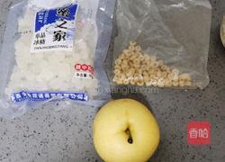 川贝炖苹果梨的做法图解1