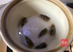 鲜虾粥的做法图解5