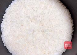 金枪鱼胚芽米寿司的做法图解2