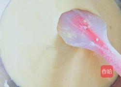 轻乳酪蛋糕8寸的做法图解6